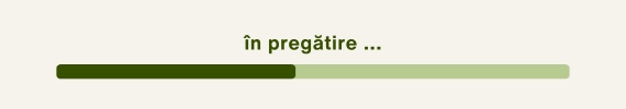 timeline RVPK activitate în pregătire