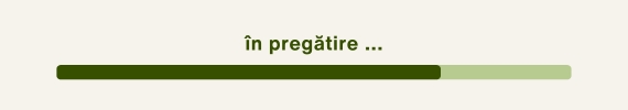 timeline RVPK activitate în pregătire