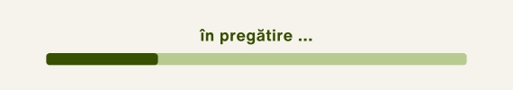 timeline RVPK activitate în pregătire